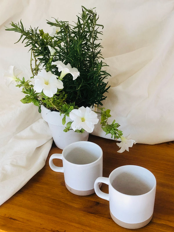Picture of two white mugs next to greenery